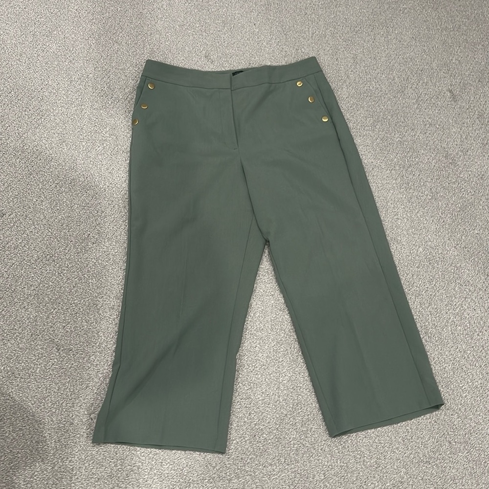 Ann Taylor Crop pants size 14